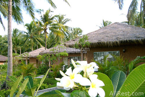 Amanda Resort 3